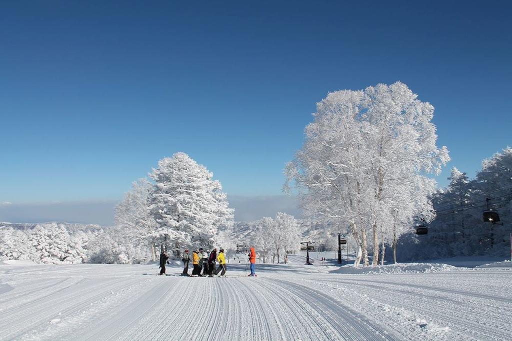 Nozawaonsen Guest House Miyazawa Екстер'єр фото